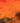 Yalleh Orange