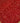 Negar Red