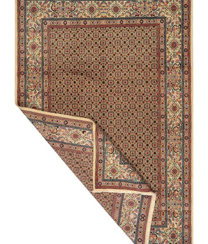 Moud sherkat Fars Beige