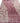 Damask 61797