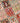 Moud Beige