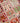 Moud Beige