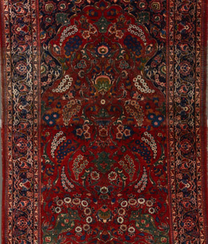 Kashan Old Red